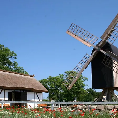 Apartment Waldnah Sellin (Rugen)