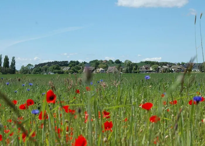 Apartment Waldnah Sellin (Rugen)